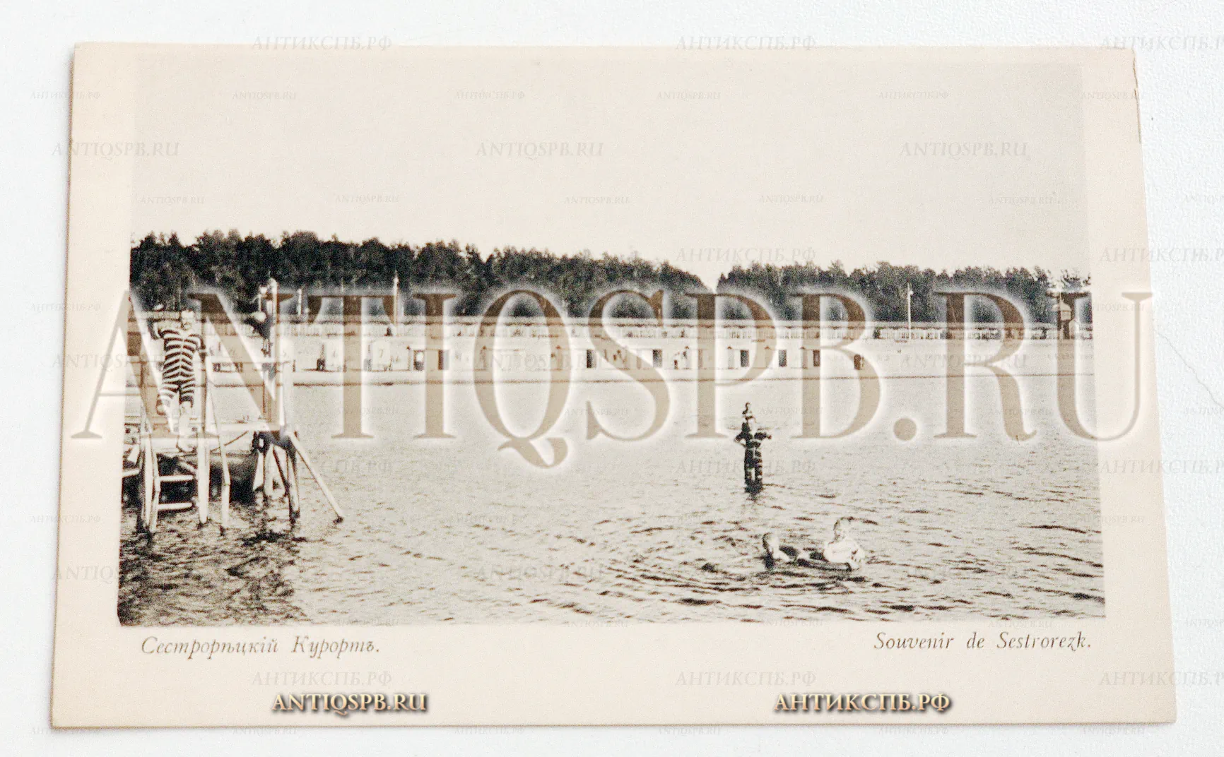 Открытка старинная. Открытое письмо. Carte Postale. Чистая. "Сестрорецкий курорт Souvenir de Sestrorezk". Тип А. И. Вильборга. СПб. Всемирный почтовый союз. Россия. Нач. ХХ века. №5068